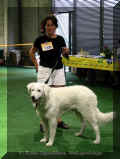 dortmund-weltbild54-2003.jpg (49004 Byte)